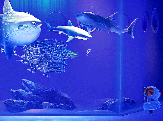 a gif of the aquarium in Animal Crossing New Horizons. a sheep looks longingly into the large creature tank, which has an Ocean Sunfish, a great white shark, and a whale shark, among some other fish